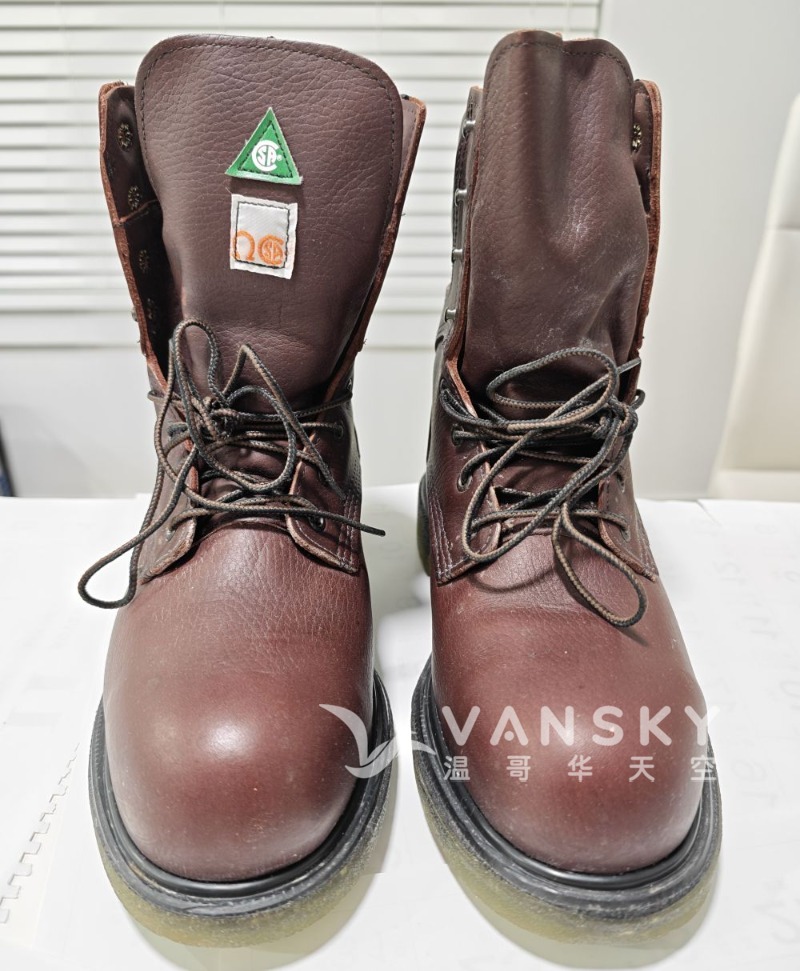 260130120029_Red Wings-7E3-1.jpg